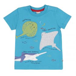 Frugi Avery Rays TShirt